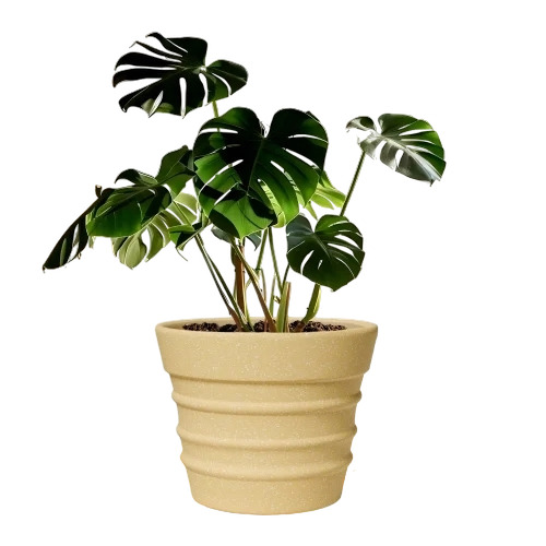 BR 21 Inch Traditional Modern Round Beige Flower Pot