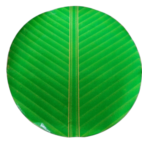 Paper Plate