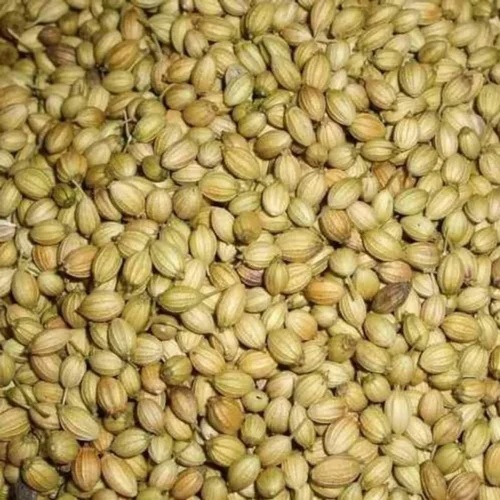 Whole Coriander