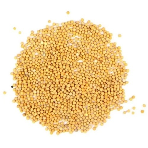 Yellow Mustard Seeds