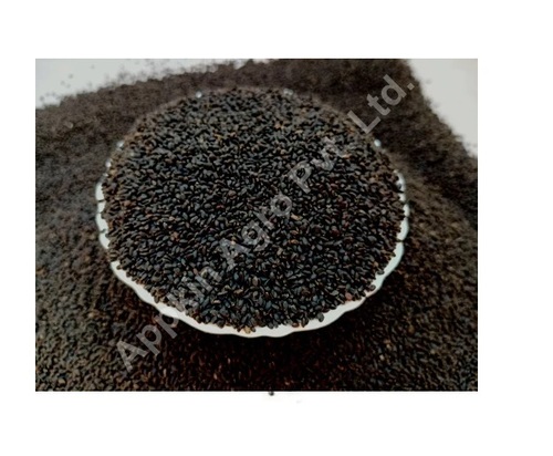 Black Basil Seed