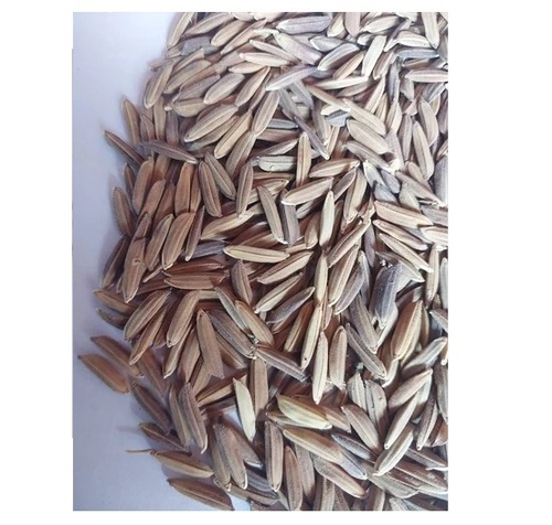 Black Rice Seeds
