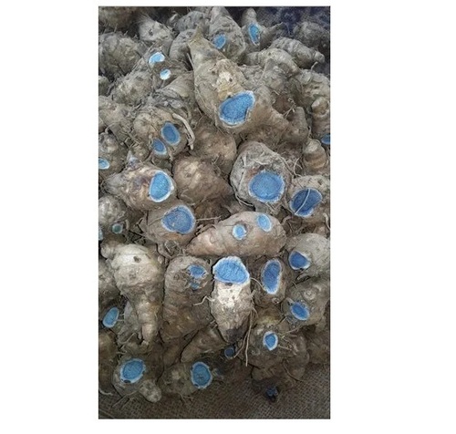 Black Turmeric Seed