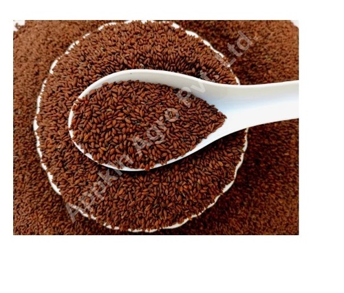 Brown Asaliya Seeds