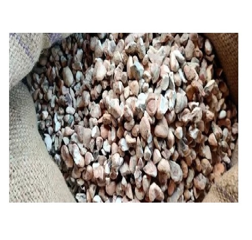 Dried Water Chestnut