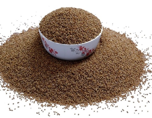 Finger Millet Seeds