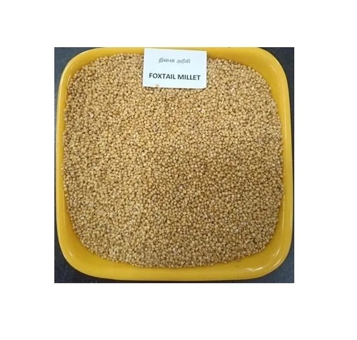 Foxtail Millet