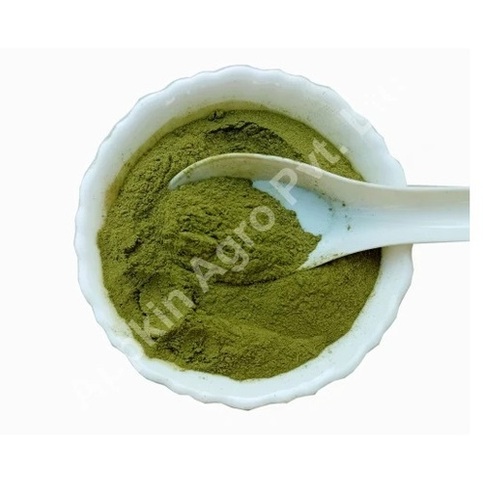 Green Moringa Powder