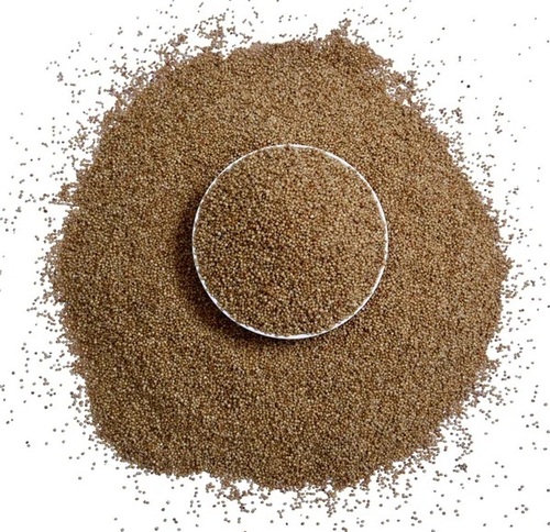 Kodo Millet Seed
