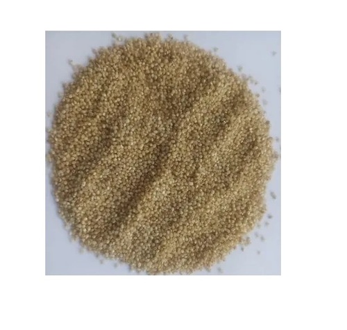 Little Millet