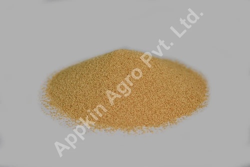 Organic Amaranth Seeds