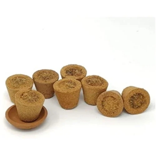 Sambrani Cup