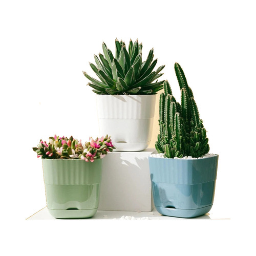 Square Plastic Flower Pot with Drain Hole (Pack of 5)