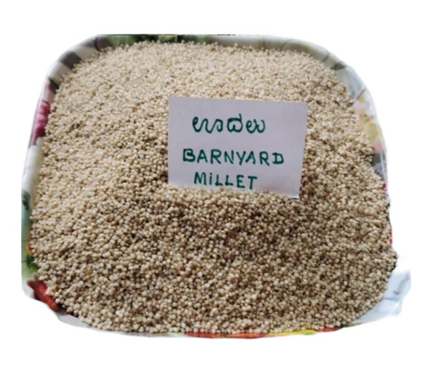 Barnyard Millet Sanwa