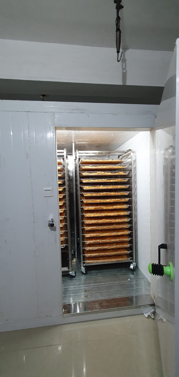 Dehydrator Machine - Capacity: 100 Kg