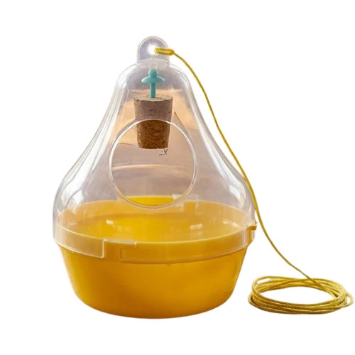 Fruit Fly Trap