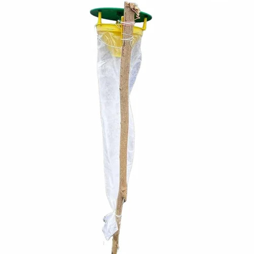 Pheromone Funnel Trap