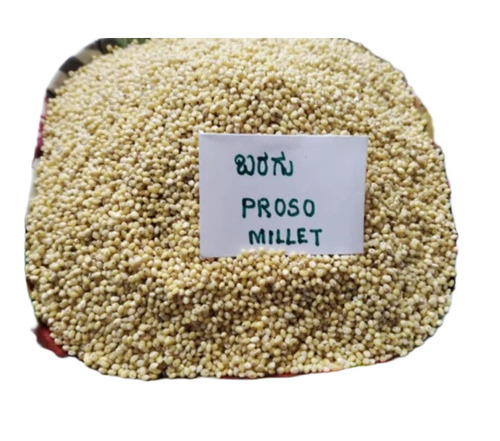 Proso Millet Chena Barri