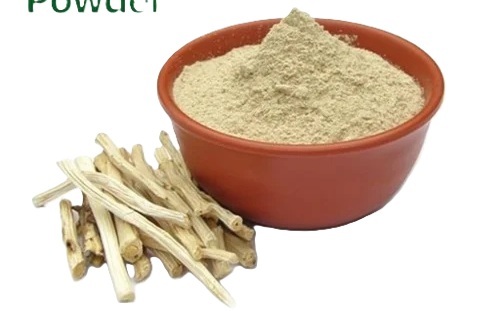 Shatavari Extract Powder