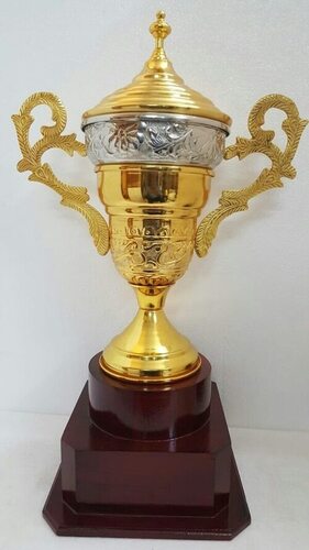Sports Metal Cup Trophy