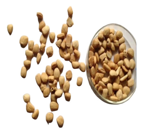 Tamarind Seed Kernel
