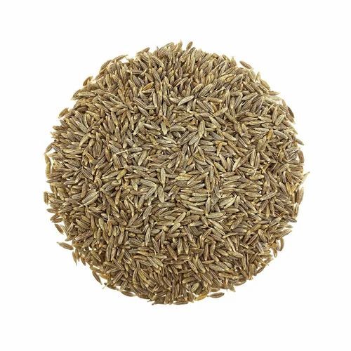 Organic Cumin Seed By Ecotech Agri & Dairy Care