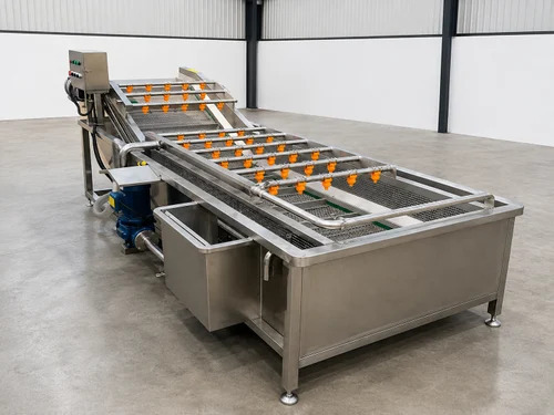 500kg/Hr Vegetable Processing Plant