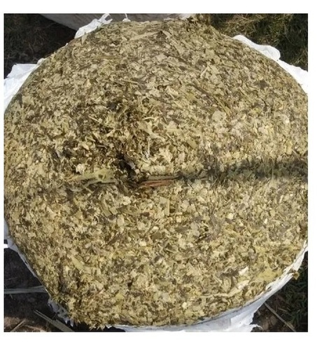 Animal Feed Dried Corn Silage - Admixture (%): Write 2%