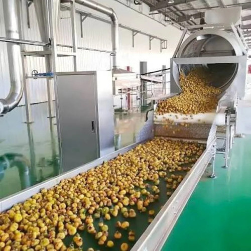 Ginger Processing Plant