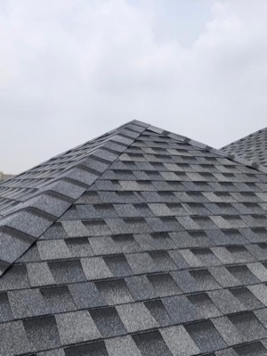 Roofing Asphalt Shingles