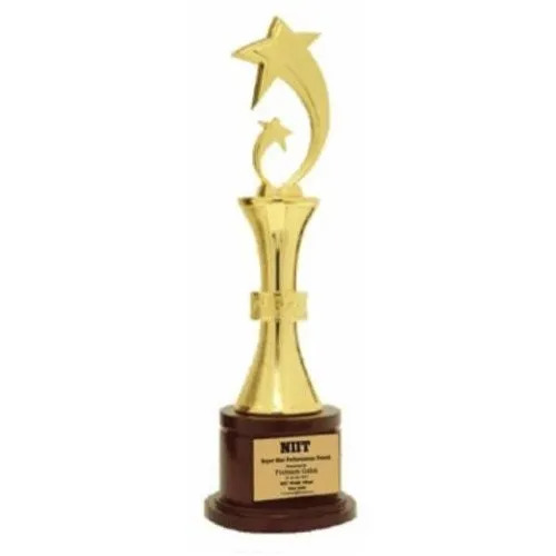 16 Inch Golden Metal Star Achievement Trophy