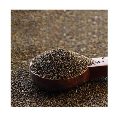 Hillpure Organic Himalayan Jakhiya Seed