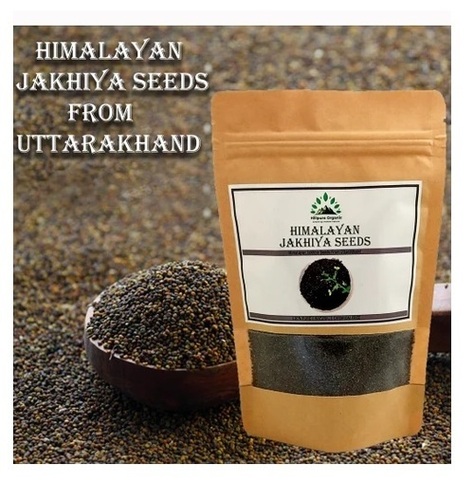 Himalayan Jakhiya Seeds