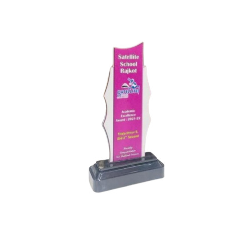 Customized Acrylic Modern Fibre Shield Award