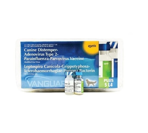 5 L4 Vanguard Plus Canine Distemper Vaccine