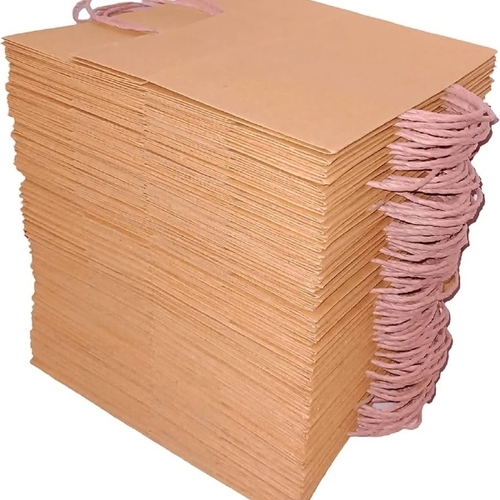 Paper Carry Bags