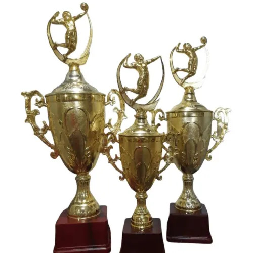 Volley Ball Gold Plated Metal Trophy With Wooden Base