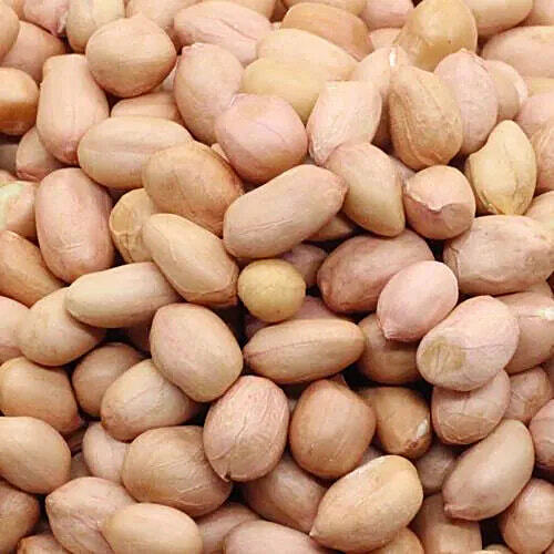 Groundnut Kernels