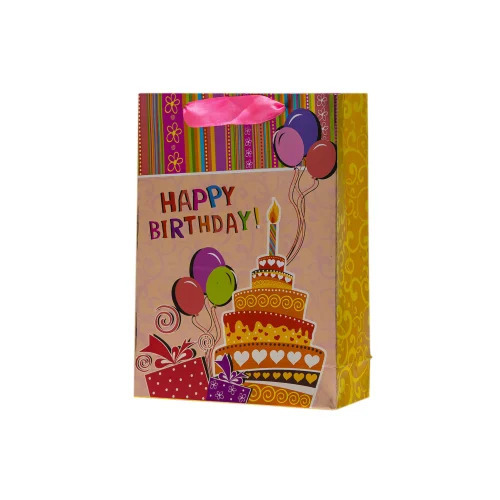10.9x8x3 Multicolor Paper Bags