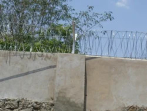 600mm Ss Concertina Wire