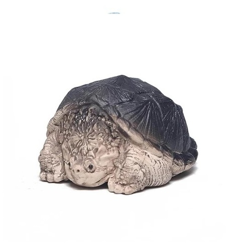 Grey Fiber Turtle