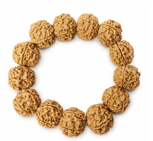 5 Mukhi Rudraksha Bracelets