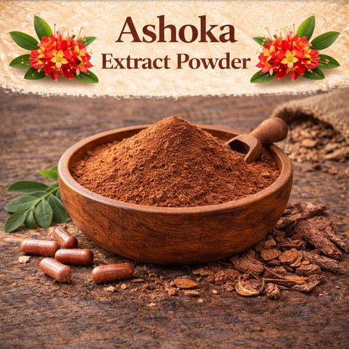 Ashoka Extract Powder