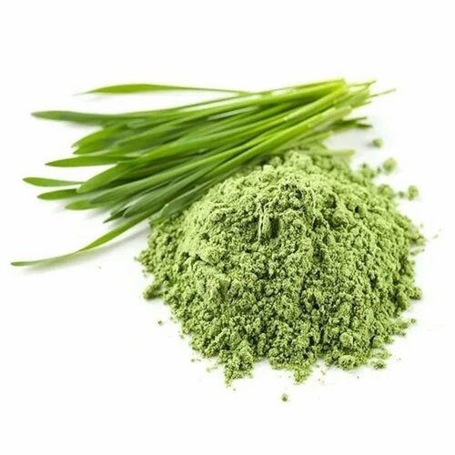 Wheatgrass Leaves Powder