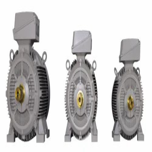 02 Crompton Greaves Motor