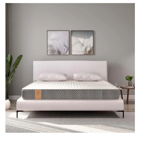 Springwel Easy Pure Ortho Clean Tech Pro 6 inch Queen Size Mattress