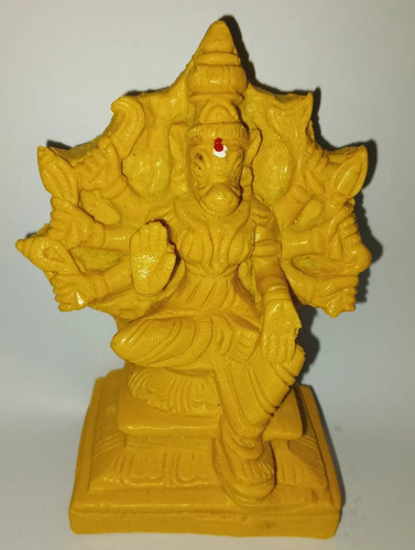 Lord Varahi Hindu God Statue