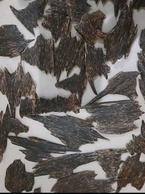 Agarwood Chips