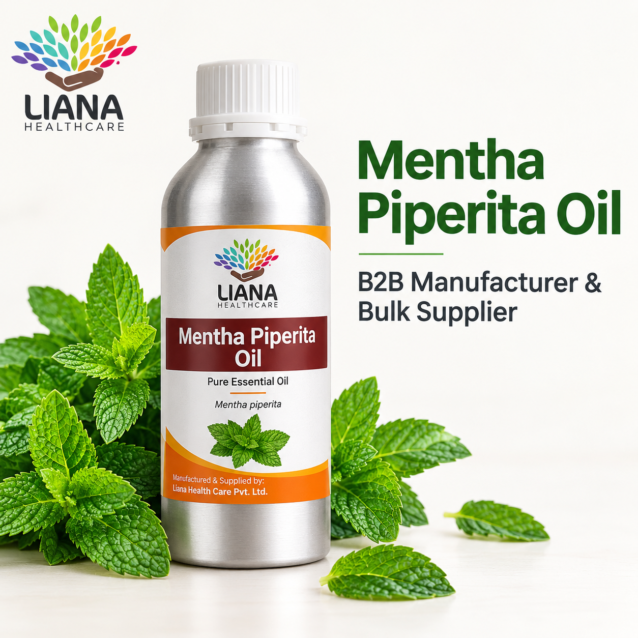 Mentha Piperata Oil - Purity: 99.6 %