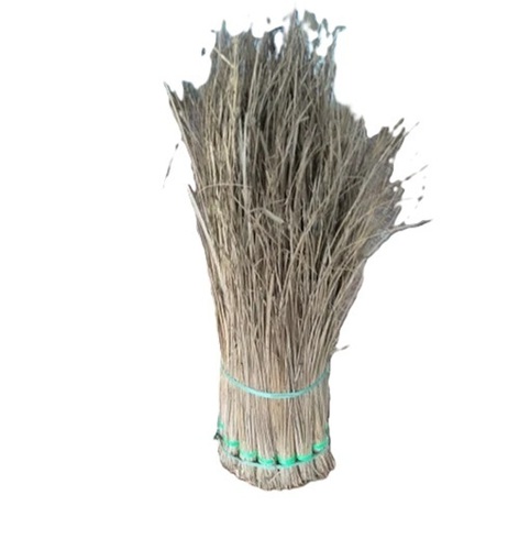 Coconut Brooms